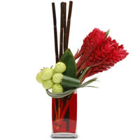 Jevis Moderne - Regalar Rosas, Regalar tulipanes, regalar flores,regalar arreglos florales, regalar regalos